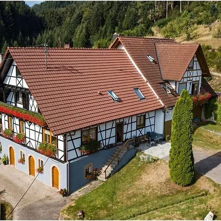 Apartamento Steinhof