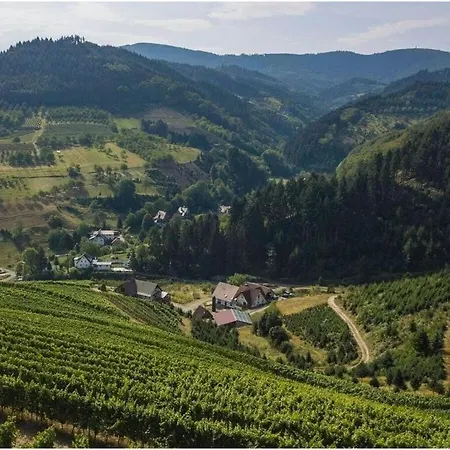 Steinhof Oberkirch (Baden)