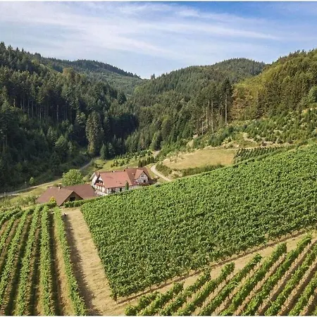 Apartamento Steinhof